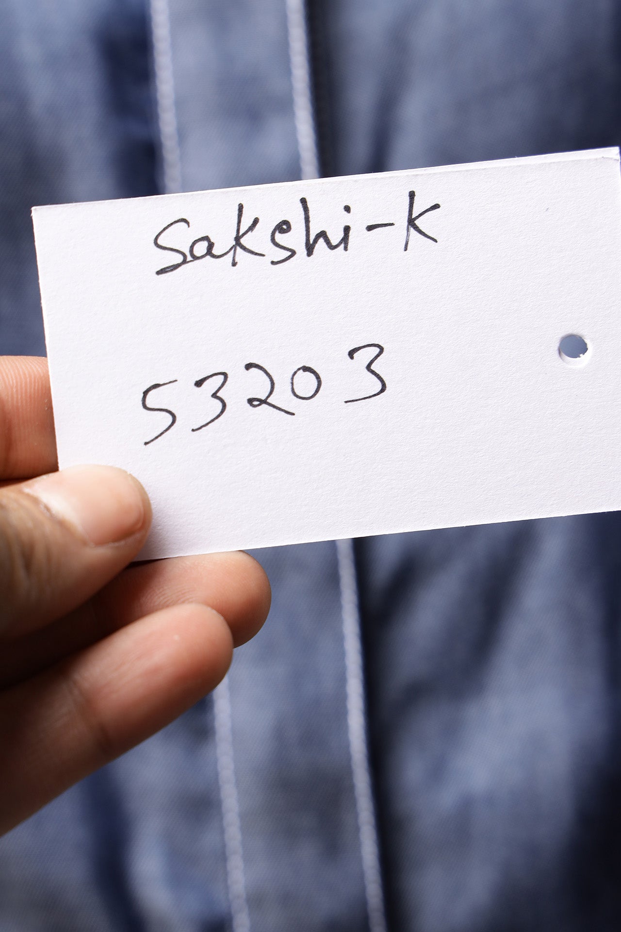 Sleeve embroidered dress