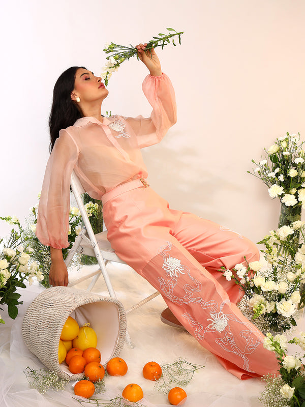 ORGANZA SHEER COORD